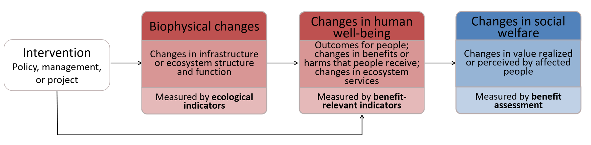 Ecosystem Services Conceptual Diagram Components
